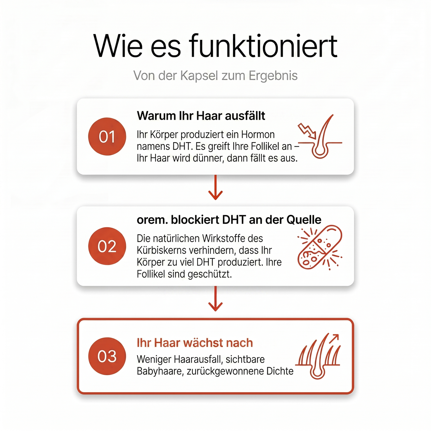 Kürbiskern-Softgels — Natürlicher Anti-DHT-Wirkstoff
